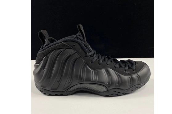 One Air Nike 314996-001 Anthracite Foamposite 0304